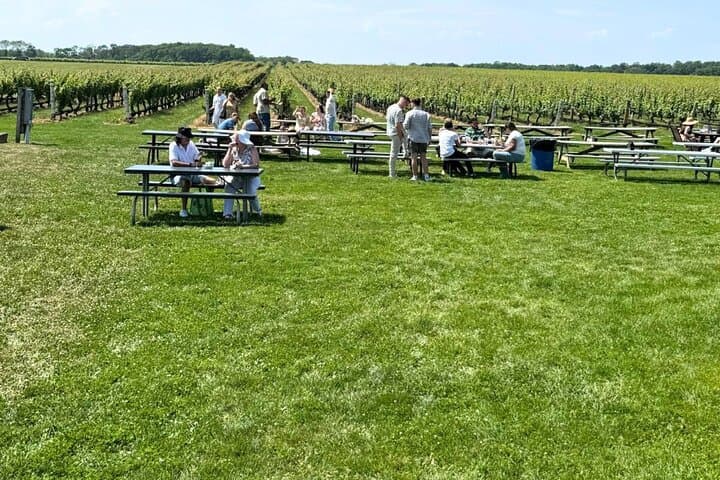 Private Luxury Wine Tour of Long Island's North Fork — Pindar, Raphael & Lenz photo 5