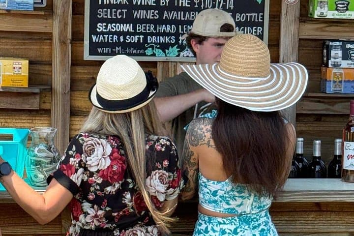 Private Luxury Wine Tour of Long Island's North Fork — Pindar, Raphael & Lenz photo 6