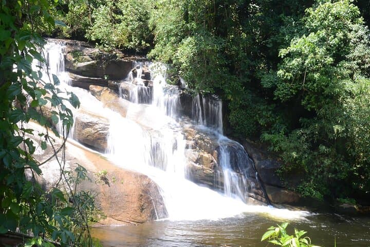 Jeep Tour in Paraty: Atlantic Forest Waterfalls, Cachaça & the Old Gold Trail photo 5