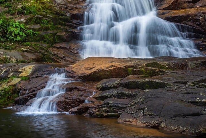 Ponte do Tarzan Paraty Jeep Adventure: 4x4 Tour to Waterfalls, Cachaça & Atlantic Forest photo 1