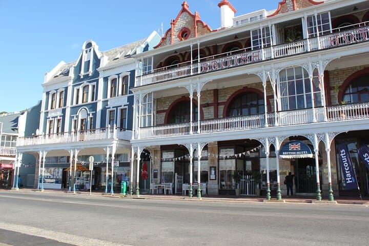 Cape Peninsula Private Tour: Cape Point, Cape of Good Hope & Boulders Penguin Colony photo 6