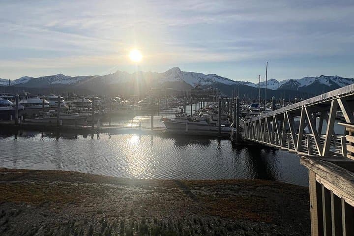 Seward to Anchorage Scenic Private Transfer — 3-Hour Mercedes Sprinter Along Turnagain Arm photo 5