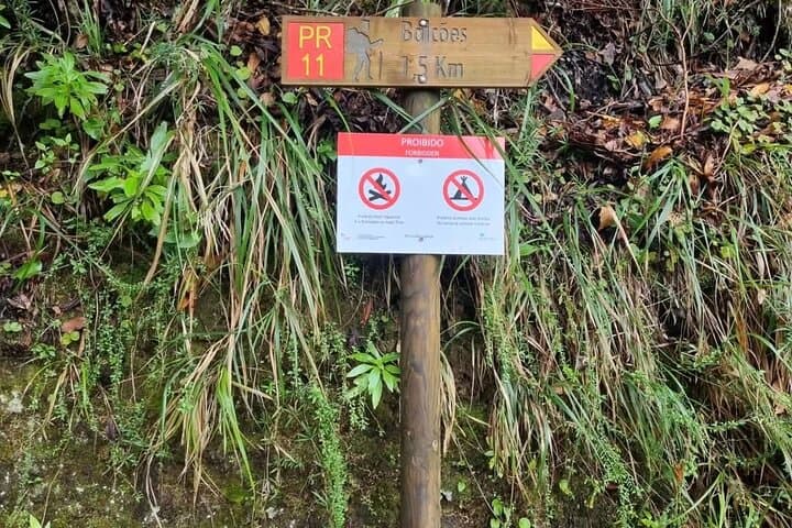 Madeira Scenic Hike & Rum Tasting: Skywalk, Santana Houses and Panoramas photo 6
