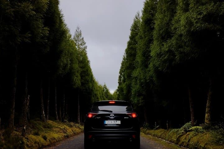 Explore Nordeste: Full-Day Off-Road Tour to Pico da Vara & Ribeira dos Caldeirões photo 3