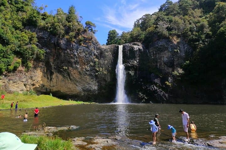 Auckland Birdwatching & Hunua Falls Hiking Private Tour photo 5