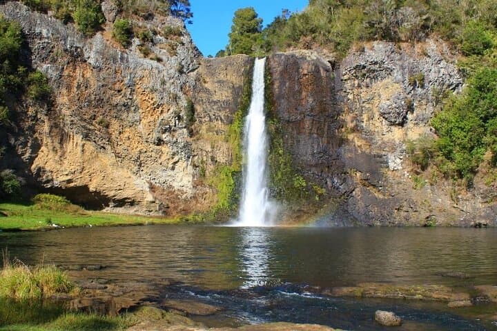 Auckland Birdwatching & Hunua Falls Hiking Private Tour photo 6