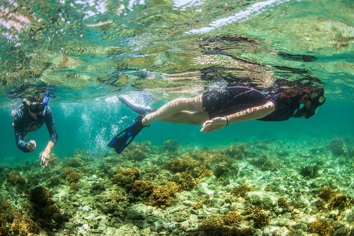 Snorkel with Sea Lions at Balandra Beach: Full-Day Catamaran from Los Cabos photo 2