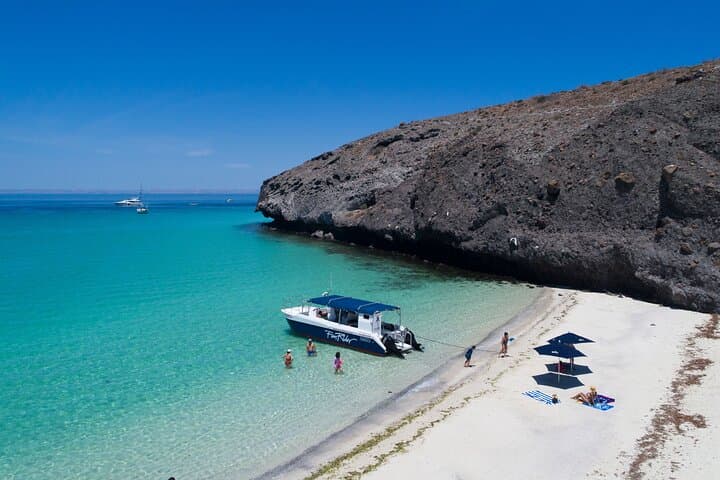 Snorkel with Sea Lions at Balandra Beach: Full-Day Catamaran from Los Cabos photo 3