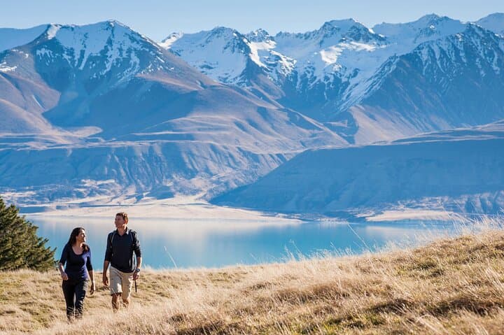 Mount Cook Small Group Scenic Tour from Queenstown — Lake Pukaki & Hooker Valley photo 2