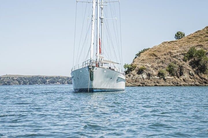 Yonder Star Sailing Yacht: Private Charters Across Auckland’s Hauraki Gulf photo 3