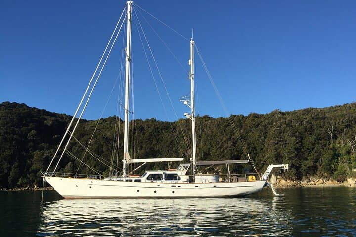 Yonder Star Sailing Yacht: Private Charters Across Auckland’s Hauraki Gulf photo 4