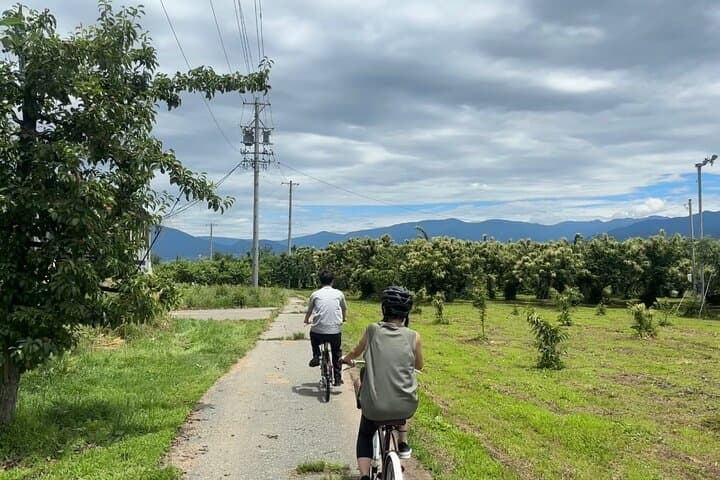 Obuse Bike Tour & Orchard Picnic: Half-Day Cycling Through Apple Country photo 5