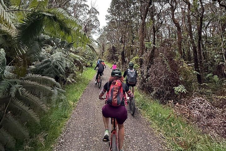 E-Bike Volcanoes National Park Tour — Ride Kilauea’s Edge photo 2