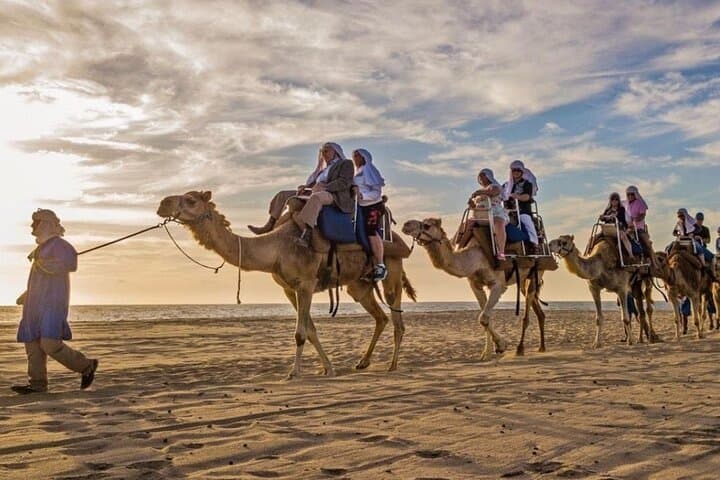 Cabo Camel Ride: Pacific Beach Safari with Tequila & Oceanfront Buffet photo 2