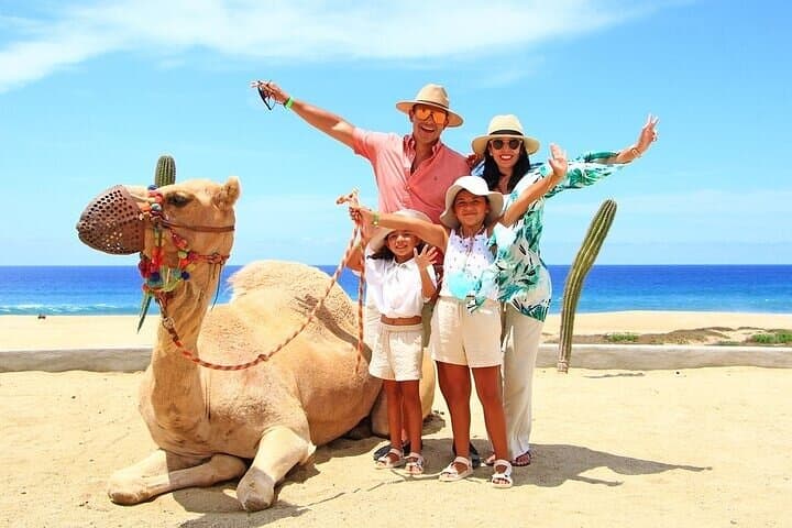 Cabo Camel Ride: Pacific Beach Safari with Tequila & Oceanfront Buffet photo 5