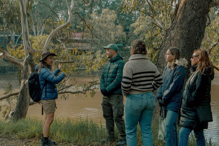 Walk the Yarra River & Historic Boathouse Lunch — Melbourne Urban Nature Walk