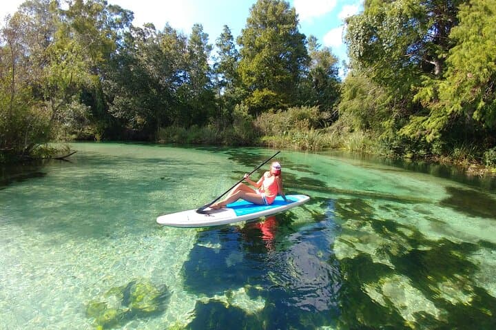 Paddle and Boat: Biscayne Bay Island and Nature Exploration photo 2