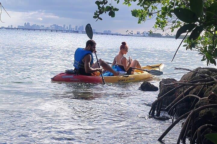 Paddle and Boat: Biscayne Bay Island and Nature Exploration photo 3