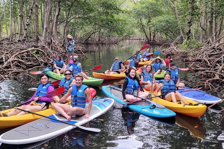 Paddle and Boat: Biscayne Bay Island and Nature Exploration photo 4
