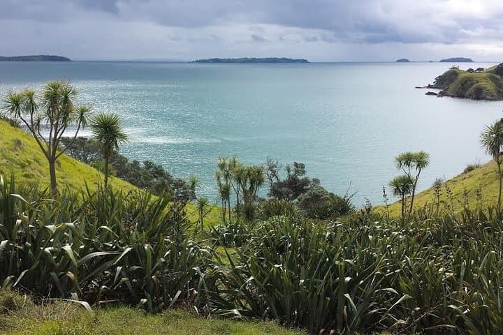 Waiheke Island 4-Day Self-Guided Te Ara Hura Walking Adventure