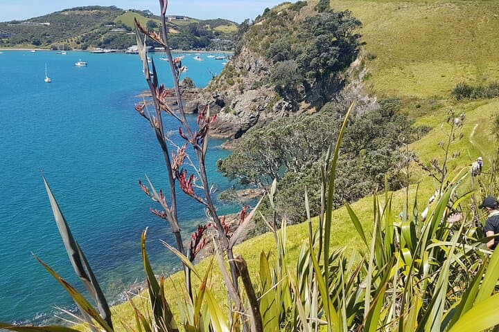 Waiheke Island 4-Day Self-Guided Te Ara Hura Walking Adventure photo 2