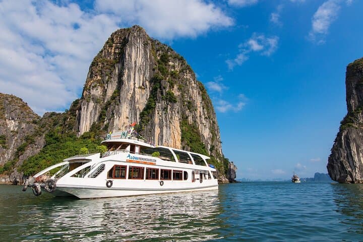Full-Day Alova Premium Cruise in Halong Bay: Sung Sot Cave, Luon Kayak & Ti Top Beach photo 2