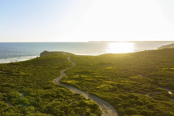 Ultimate Buggy Tour in Kangaroo Island: Off-Road Adventure at Vivonne Bay photo 4