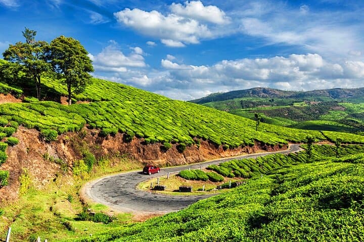 Weekend in Munnar: 2-Day Tea Gardens, Waterfalls & Eravikulam Escape from Madurai photo 2