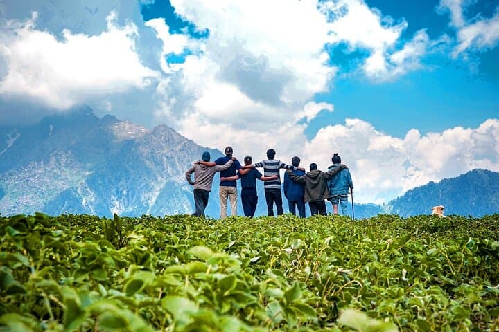 Weekend in Munnar: 2-Day Tea Gardens, Waterfalls & Eravikulam Escape from Madurai photo 4