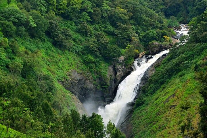 Weekend in Munnar: 2-Day Tea Gardens, Waterfalls & Eravikulam Escape from Madurai