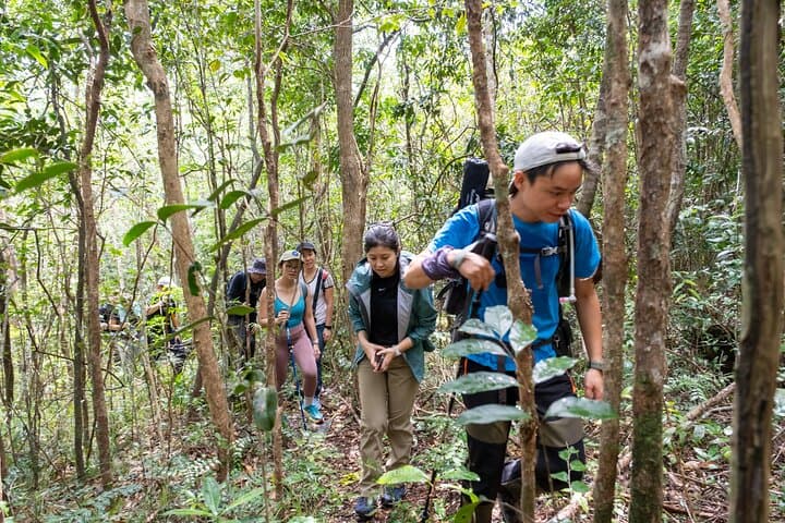 Suoi Tien Jungle Trek and Natural Spring Bath — 4-Hour Phu Quoc Adventure