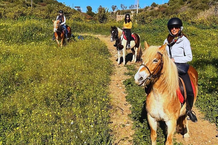 Horseback Riding Through Misterbianco’s Citrus Groves with Mount Etna Views photo 2