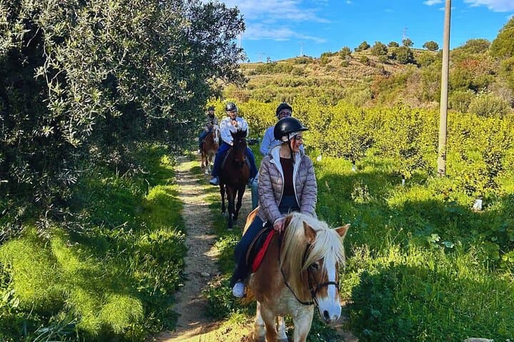 Horseback Riding Through Misterbianco’s Citrus Groves with Mount Etna Views photo 3