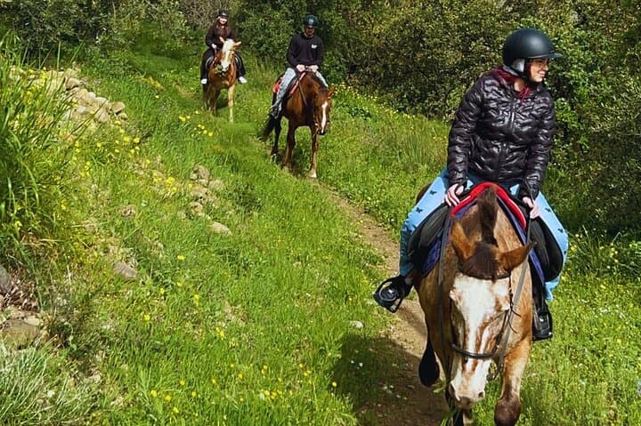 Horseback Riding Through Misterbianco’s Citrus Groves with Mount Etna Views photo 5