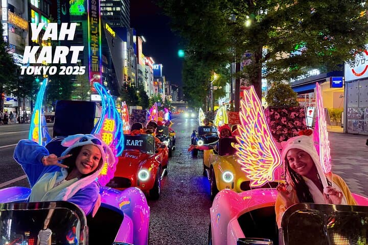 Akihabara Go-Kart Tour: Drive Through Tokyo's Neon Streets (IDP Required) photo 1