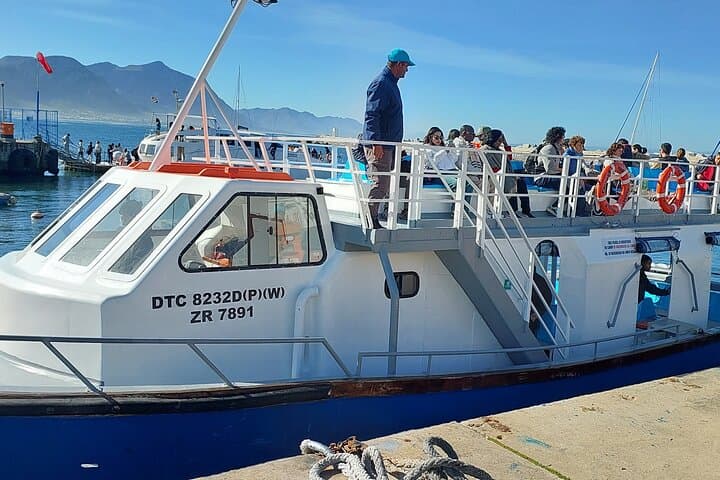 Hermanus Whale Watching from Cape Town: Full-Day Coastal Wildlife Tour photo 2