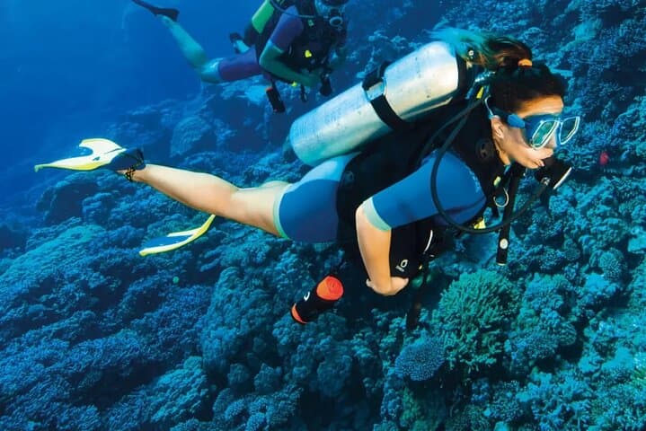 Nha Trang Scuba Diving: Explore Coral Reefs & Marine Life photo 6
