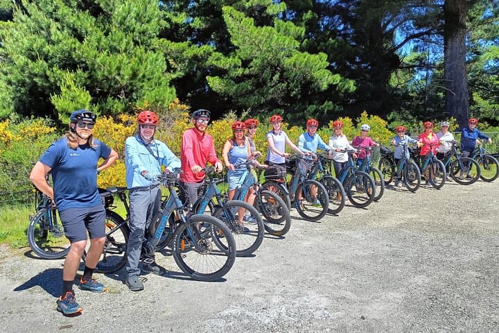 Wanaka Private Family E‑Bike Tour: Pickups, Trails & Lake Views photo 2
