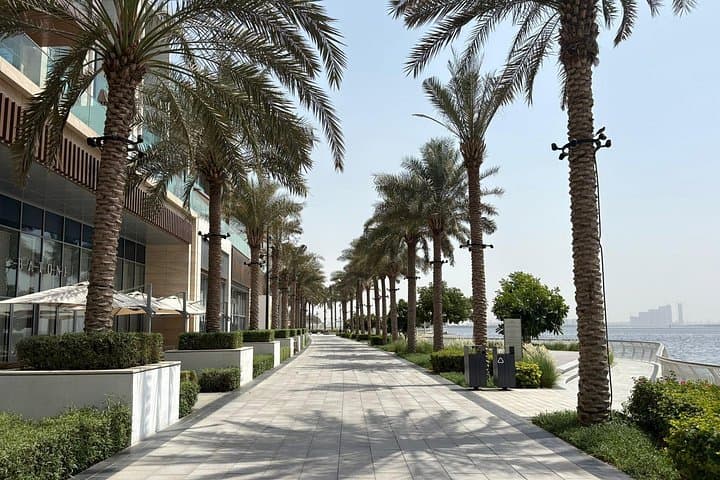 Dubai Premium Property Investment Tour — Half-Day Real Estate Insights photo 2