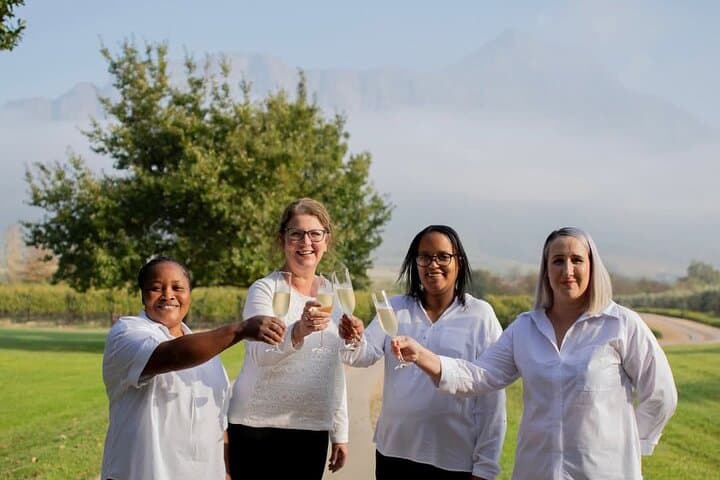 Secret Cellars Wine Tasting and Lunch in the Cape Winelands photo 3