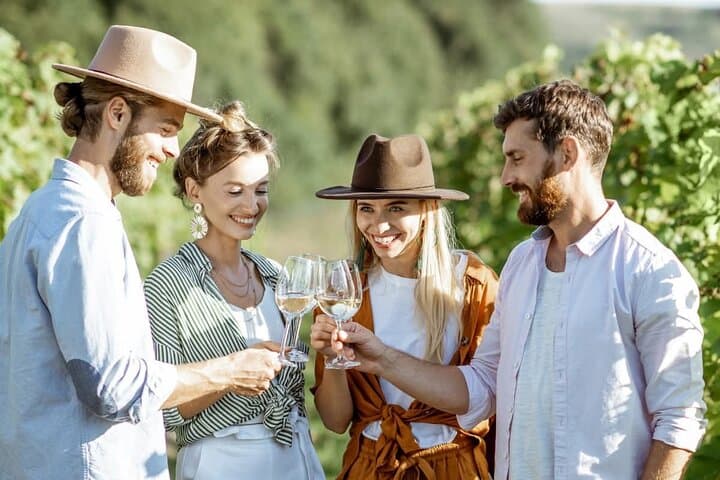 Secret Cellars Wine Tasting and Lunch in the Cape Winelands