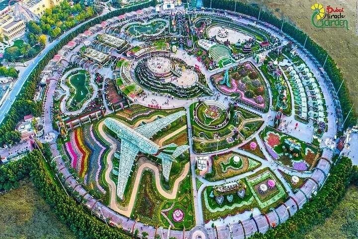 Dubai Miracle Garden Tour: Explore Vibrant Floral Sculptures with Transport photo 6