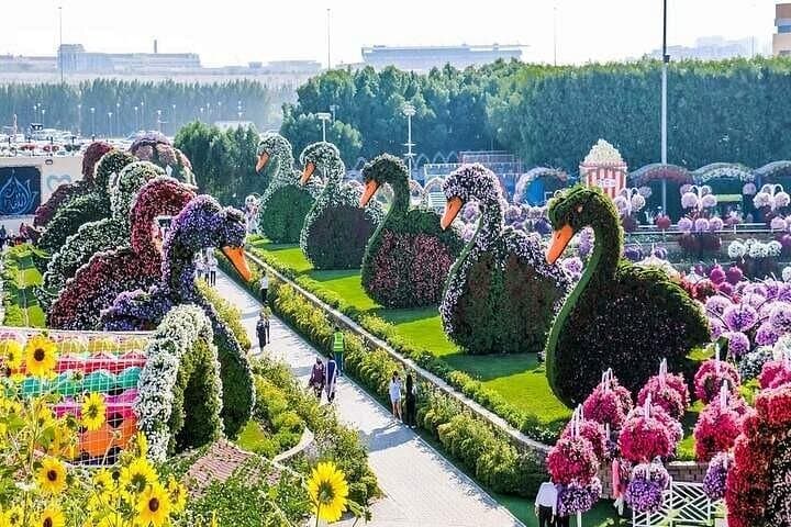 Dubai Miracle Garden Tour: Explore Vibrant Floral Sculptures with Transport photo 4