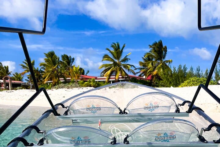 Clear-Bottom Mangrove Boat Tour — North Creek, Grand Turk