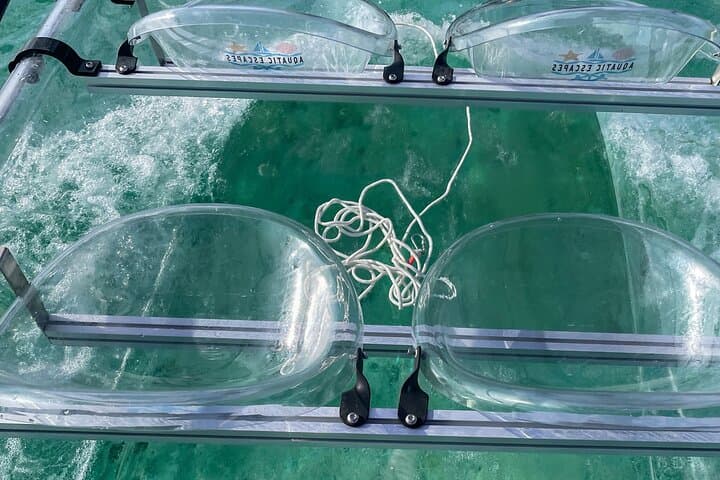 Clear-Bottom Mangrove Boat Tour — North Creek, Grand Turk photo 3