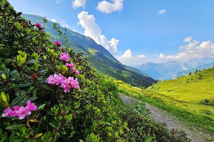 Grütschalp to Mürren Hike with Trümmelbach Falls: Classic Lauterbrunnen Valley Walk photo 2