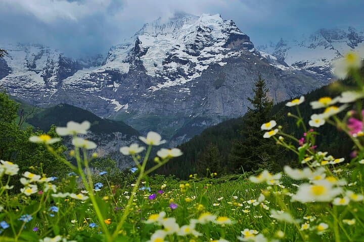 Grütschalp to Mürren Hike with Trümmelbach Falls: Classic Lauterbrunnen Valley Walk photo 3