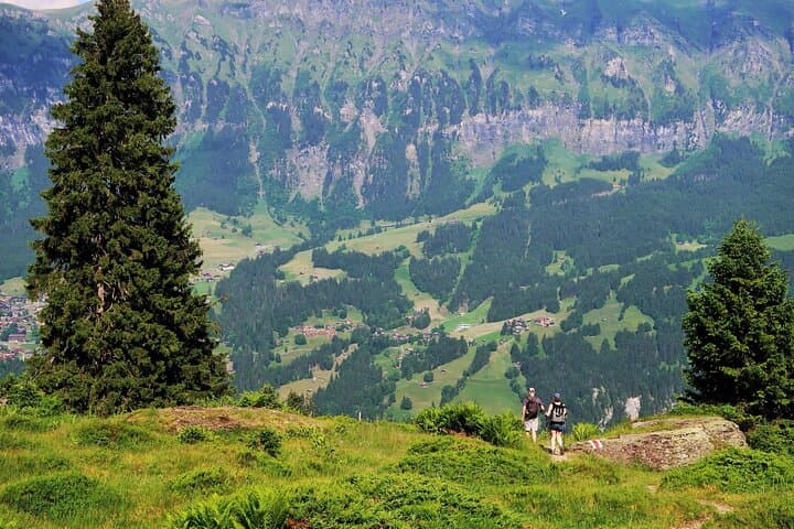 Grütschalp to Mürren Hike with Trümmelbach Falls: Classic Lauterbrunnen Valley Walk photo 5