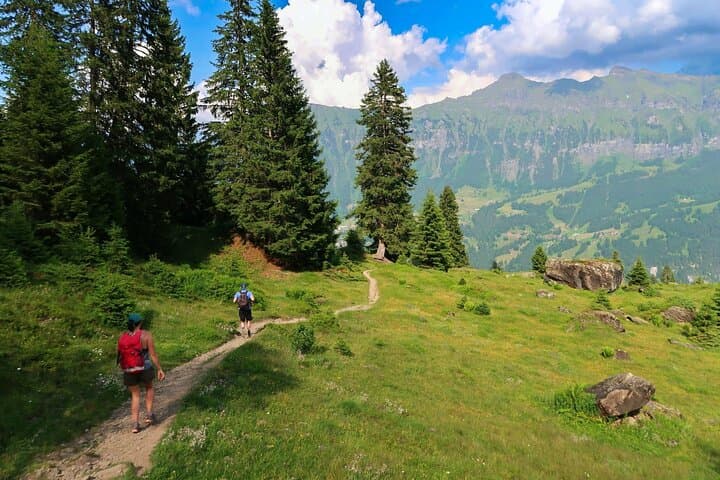 Grütschalp to Mürren Hike with Trümmelbach Falls: Classic Lauterbrunnen Valley Walk photo 6