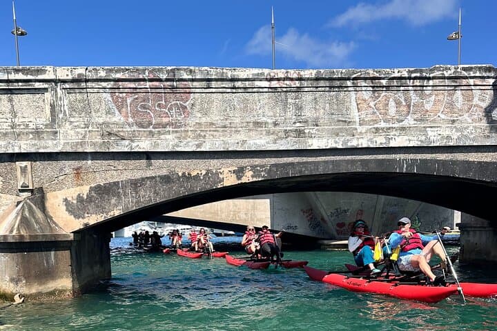 Pedal Condado Lagoon: Chiliboats Waterbike Eco-Tour in San Juan photo 4